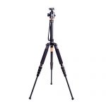 Qingzhuangshidai Q666 Test 2019