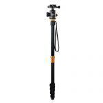 togopod Julia Test 2019