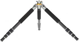 Rollei Lion Rock 25 Mark II Test 2019