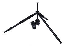 Dörr PSM 250 Test 2019