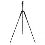 Qingzhuangshidai Q666 Test 2019