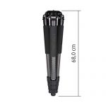 Rollei Rock Solid Alpha XL Mk II Carbon Test 2019