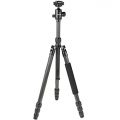 Quenox Standfest Carbon Test 2019