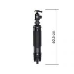 Rollei Rock Solid Gamma Mk II Carbon Test 2019