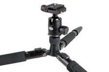 Bilora Colorlux II Carbon Test 2019