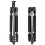 Sirui EN-2204 Test 2019