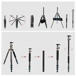 BONFOTO B674A Test 2019