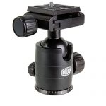 Bilora Colorlux II Carbon Test 2019