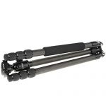 Quenox Standfest Carbon Test 2019