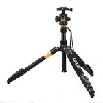 togopod Julia Test 2019