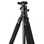 Hama Omega Carbon II Test 2019