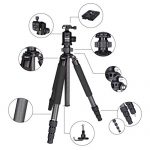 Rollei Rock Solid Beta Mk II Carbon Test 2019