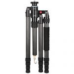 Sirui S-2204-N Test 2019