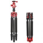 Sirui T-004X Test 2019