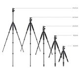 Rollei Rock Solid Beta Mk II Carbon Test 2019