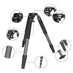 Rollei Rock Solid Alpha XL Mk II Carbon Test 2019