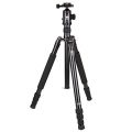 Sirui T-2004XL mit E-20 Kopf Test 2019