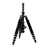 togopod Luisa II Test 2019