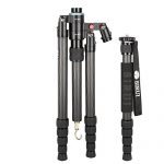 Sirui S-2205-N Test 2019