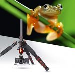 Rollei Fotostativ Traveler Carbon Test 2019