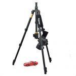 togopod Julia Test 2019