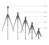 Rollei Rock Solid Gamma Mk II Carbon Test 2019