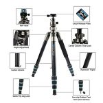 BONFOTO B674A Test 2019