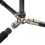 Mantona Titanium Carbon 2 in 1 Test 2019