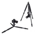 Rollei Rock Solid Beta Mk II Carbon Test 2019