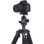 Vanguard Alta Pro 283CT Test 2019