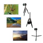 BONFOTO B674C Test 2019