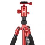 Sirui T-004X Test 2019