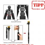 togopod Patrick CARBONplus Test 2019