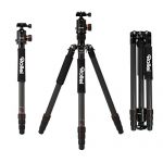 Rollei C6i Carbon Test 2019