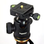 togopod Julia Test 2019