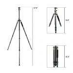 BONFOTO B674C Test 2019