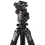 Hama Omega Carbon II Test 2019