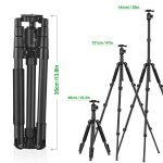 Zecti ZT-005 Test 2019