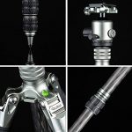 Rollei Lion Rock Traveler M Test 2019