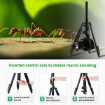 Zecti ZT-005 Test 2019