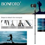 BONFOTO B674C Test 2019