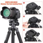 Zomei Q111 Test 2019