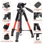 Zomei Q111 Test 2019