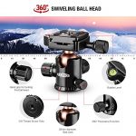 Rangers 57″ Aluminium Stativ Test 2019