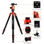 Zomei Z818 Test 2019