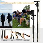 K&F Concept TC2534 Test 2019