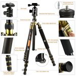 K&F Concept TC2534 Test 2019