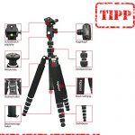 togopod Explorer Max Test 2019