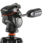 Vanguard Alta CA 234AP Test 2019