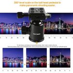 K&F Concept TC2534 Test 2019